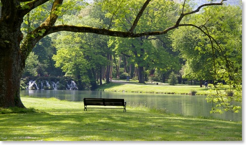 www.photos-dauphine.com